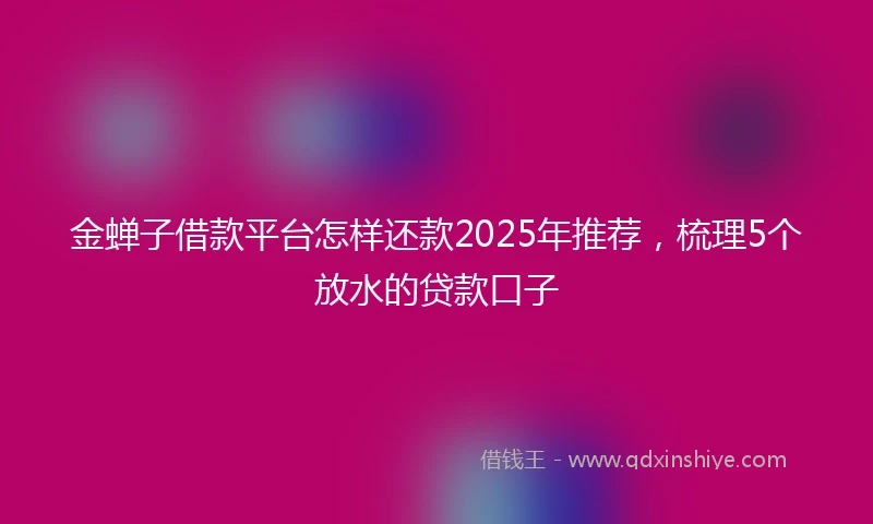 金蝉子借款平台怎样还款2025年推荐，梳理5个放水的贷款口子