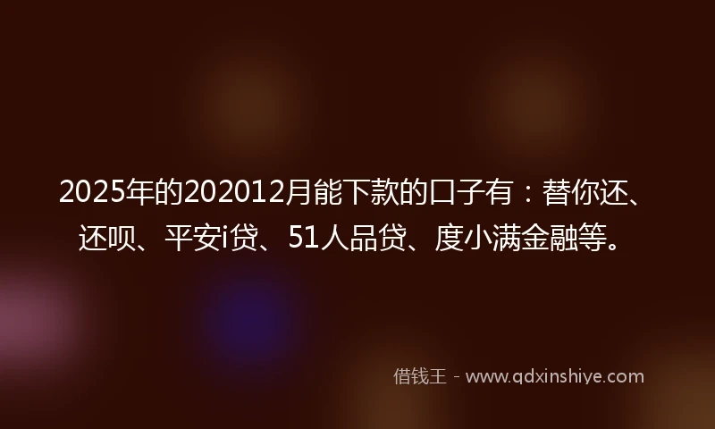 2025年的202012月能下款的口子有：替你还、还呗、平安i贷、51人品贷、度小满金融等。
