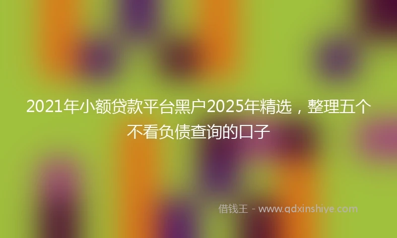 2021年小额贷款平台黑户2025年精选，整理五个不看负债查询的口子