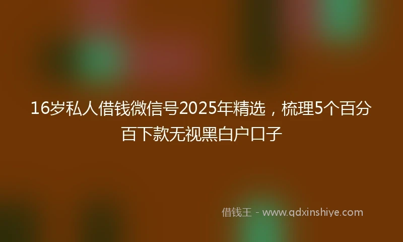 16岁私人借钱微信号2025年精选，梳理5个百分百下款无视黑白户口子