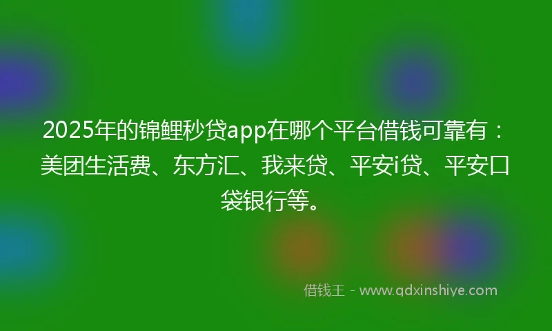2025年的锦鲤秒贷app在哪个平台借钱可靠有：美团生活费、东方汇、我来贷、平安i贷、平安口袋银行等。