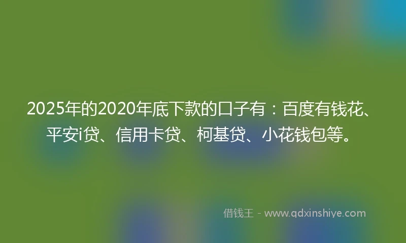 2025年的2020年底下款的口子有：百度有钱花、平安i贷、信用卡贷、柯基贷、小花钱包等。