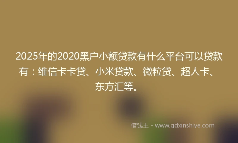 2025年的2020黑户小额贷款有什么平台可以贷款有：维信卡卡贷、小米贷款、微粒贷、超人卡、东方汇等。