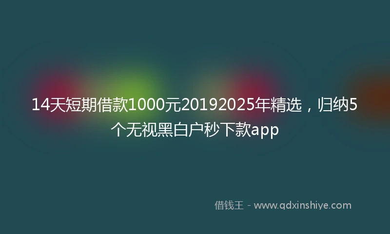 14天短期借款1000元20192025年精选，归纳5个无视黑白户秒下款app