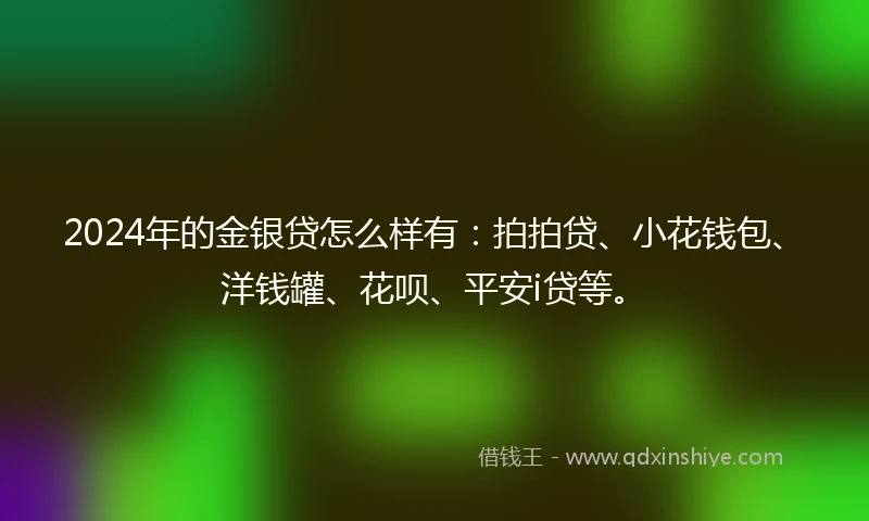 2024年的金银贷怎么样有：拍拍贷、小花钱包、洋钱罐、花呗、平安i贷等。