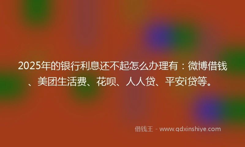 2025年的银行利息还不起怎么办理有：微博借钱、美团生活费、花呗、人人贷、平安i贷等。