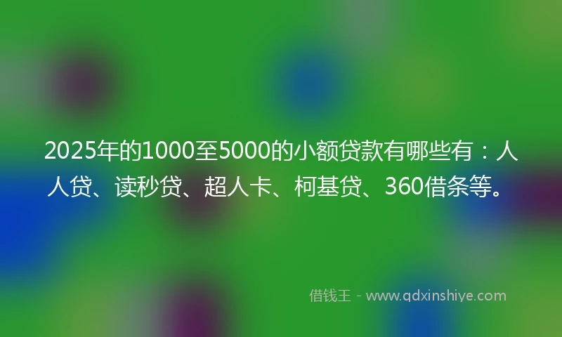 2025年的1000至5000的小额贷款有哪些有：人人贷、读秒贷、超人卡、柯基贷、360借条等。