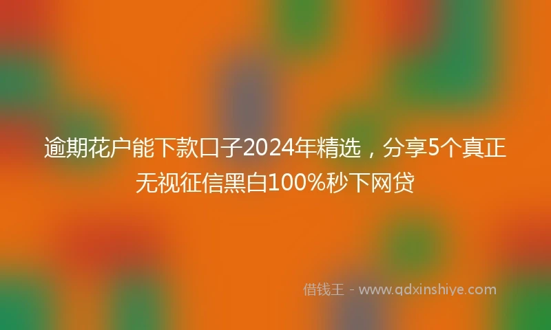 逾期花户能下款口子2024年精选，分享5个真正无视征信黑白100%秒下网贷