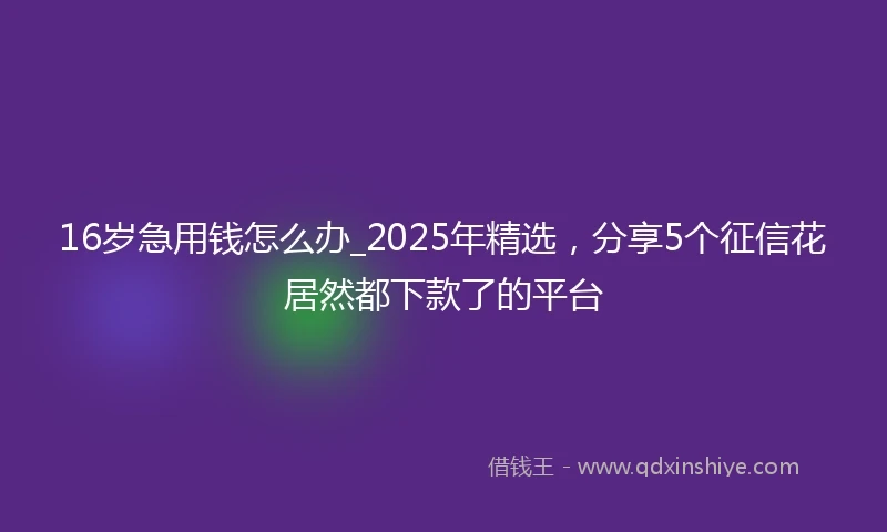 16岁急用钱怎么办_2025年精选，分享5个征信花居然都下款了的平台