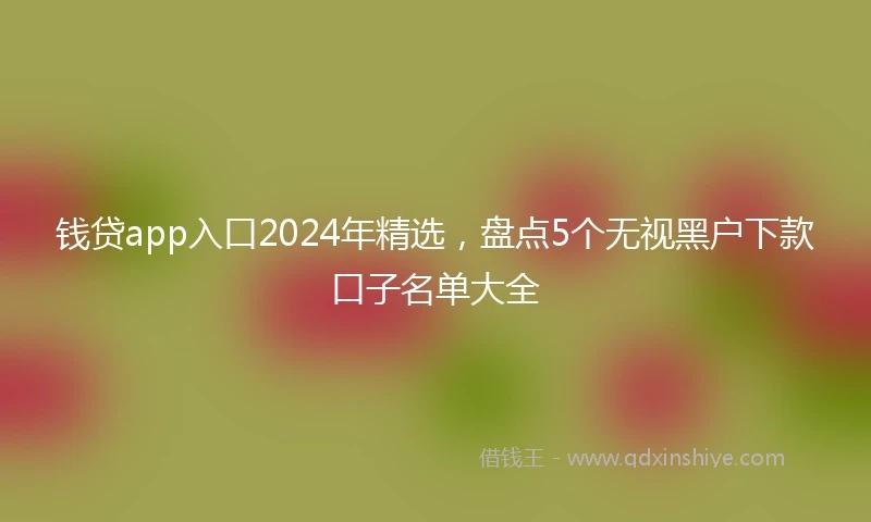 钱贷app入口2024年精选，盘点5个无视黑户下款口子名单大全