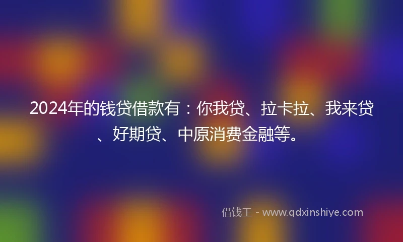 2024年的钱贷借款有：你我贷、拉卡拉、我来贷、好期贷、中原消费金融等。
