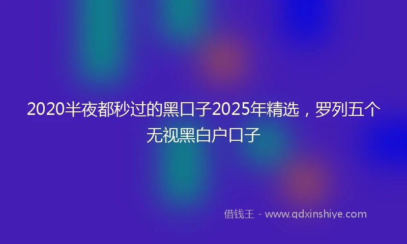 2020半夜都秒过的黑口子2025年精选，罗列五个无视黑白户口子