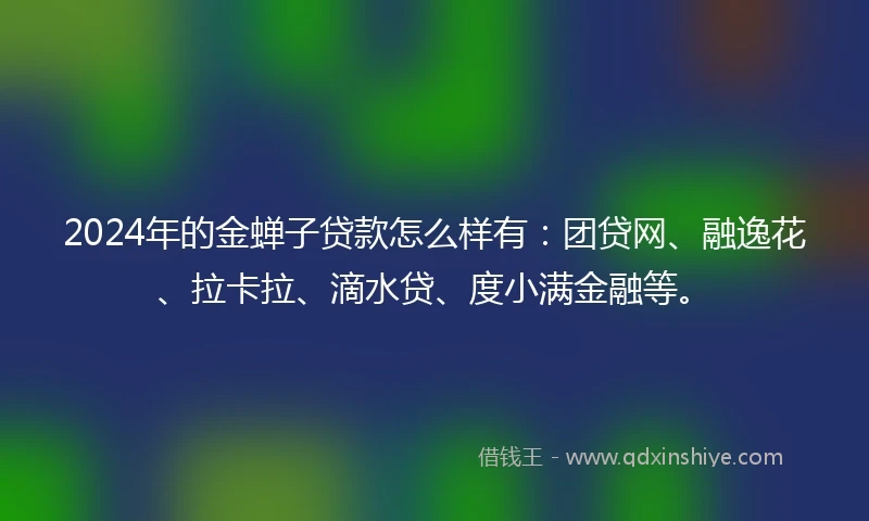 2024年的金蝉子贷款怎么样有：团贷网、融逸花、拉卡拉、滴水贷、度小满金融等。