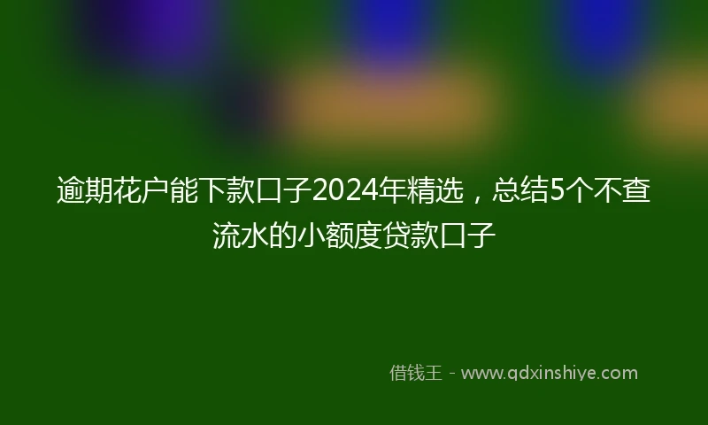 逾期花户能下款口子2024年精选，总结5个不查流水的小额度贷款口子