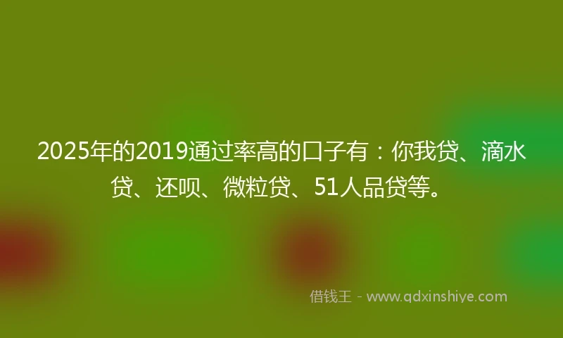 2025年的2019通过率高的口子有：你我贷、滴水贷、还呗、微粒贷、51人品贷等。