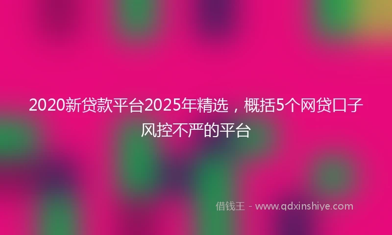 2020新贷款平台2025年精选，概括5个网贷口子风控不严的平台