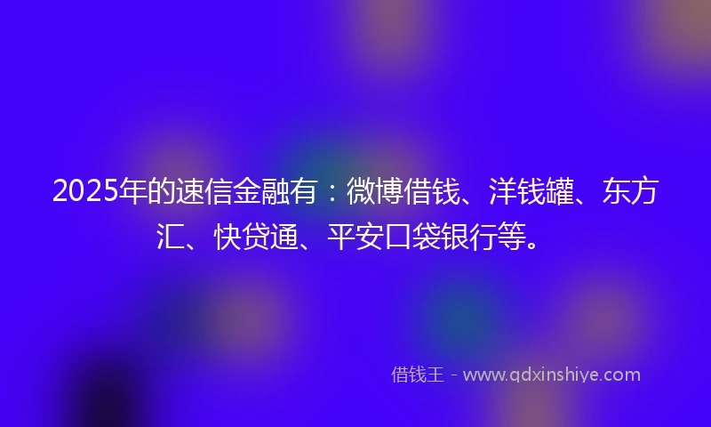 2025年的速信金融有：微博借钱、洋钱罐、东方汇、快贷通、平安口袋银行等。