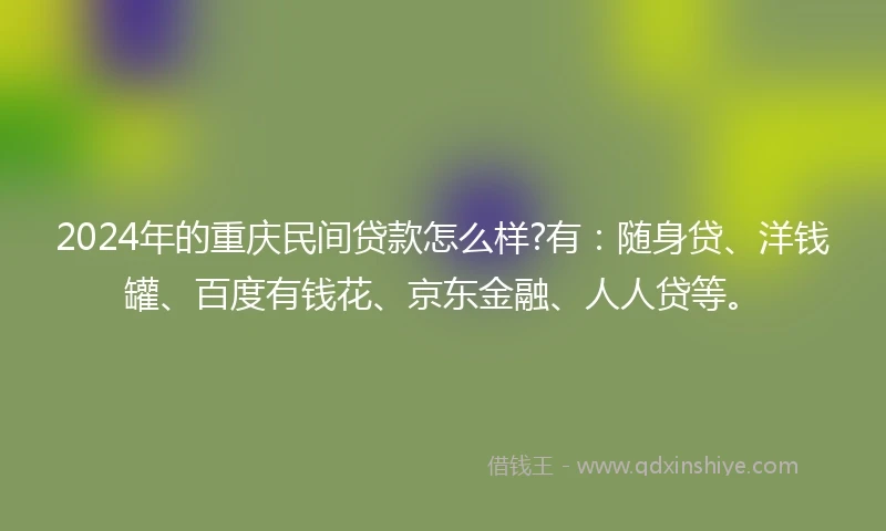 2024年的重庆民间贷款怎么样?有：随身贷、洋钱罐、百度有钱花、京东金融、人人贷等。