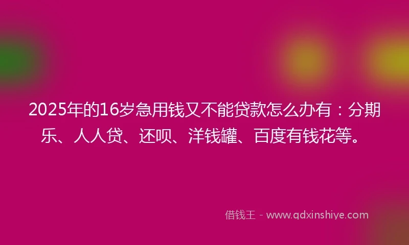 2025年的16岁急用钱又不能贷款怎么办有：分期乐、人人贷、还呗、洋钱罐、百度有钱花等。