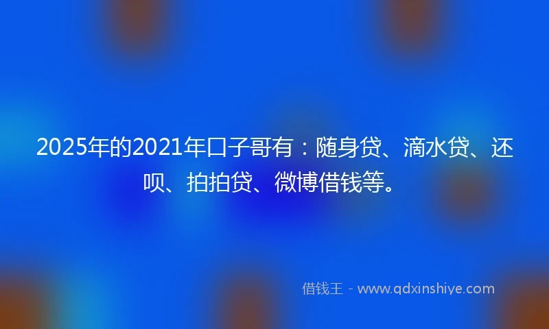 2025年的2021年口子哥有：随身贷、滴水贷、还呗、拍拍贷、微博借钱等。