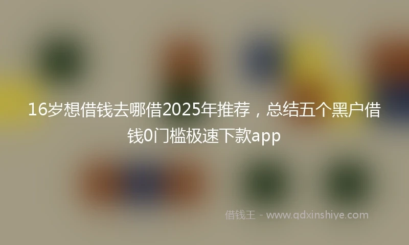 16岁想借钱去哪借2025年推荐，总结五个黑户借钱0门槛极速下款app