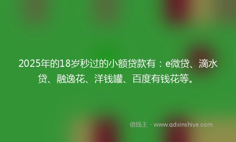 2025年的18岁秒过的小额贷款有：e微贷、滴水贷、融逸花、洋钱罐、百度有钱花等。