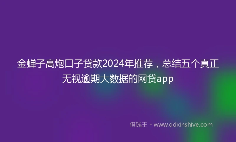 金蝉子高炮口子贷款2024年推荐，总结五个真正无视逾期大数据的网贷app