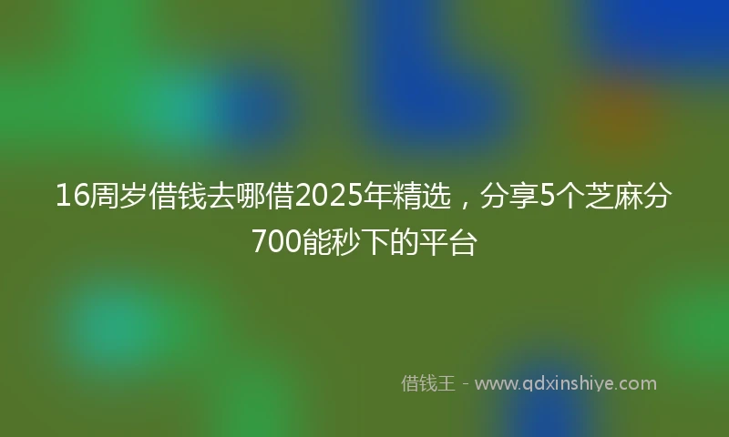 16周岁借钱去哪借2025年精选，分享5个芝麻分700能秒下的平台