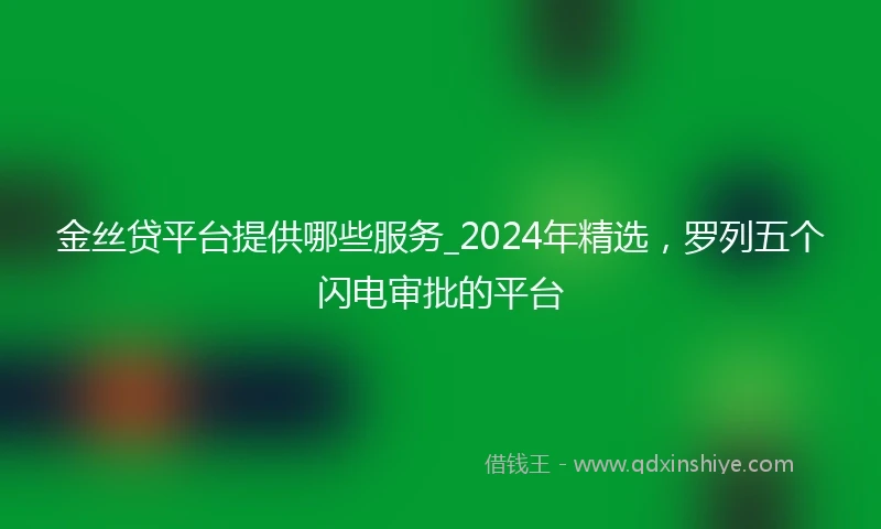 金丝贷平台提供哪些服务_2024年精选，罗列五个闪电审批的平台