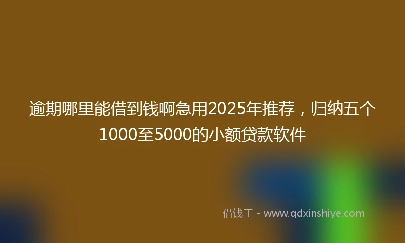 逾期哪里能借到钱啊急用2025年推荐，归纳五个1000至5000的小额贷款软件