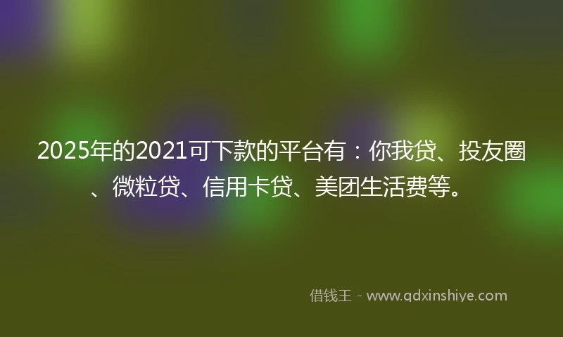 2025年的2021可下款的平台有：你我贷、投友圈、微粒贷、信用卡贷、美团生活费等。