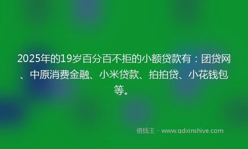 2025年的19岁百分百不拒的小额贷款有：团贷网、中原消费金融、小米贷款、拍拍贷、小花钱包等。