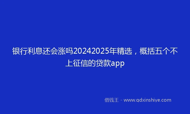 银行利息还会涨吗20242025年精选，概括五个不上征信的贷款app