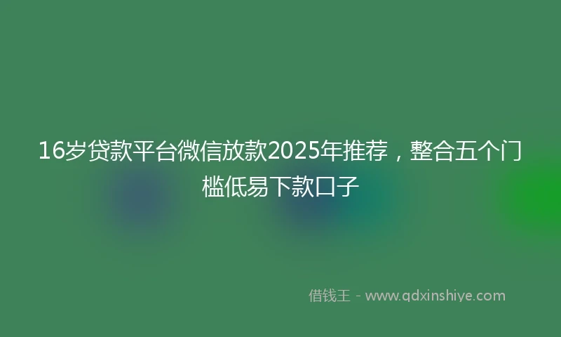 16岁贷款平台微信放款2025年推荐，整合五个门槛低易下款口子