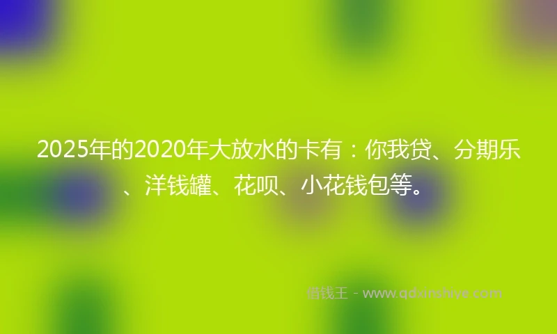 2025年的2020年大放水的卡有：你我贷、分期乐、洋钱罐、花呗、小花钱包等。