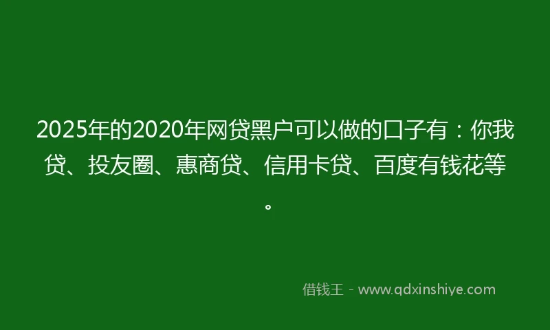 2025年的2020年网贷黑户可以做的口子有：你我贷、投友圈、惠商贷、信用卡贷、百度有钱花等。
