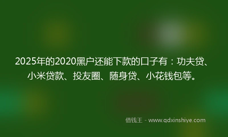2025年的2020黑户还能下款的口子有：功夫贷、小米贷款、投友圈、随身贷、小花钱包等。