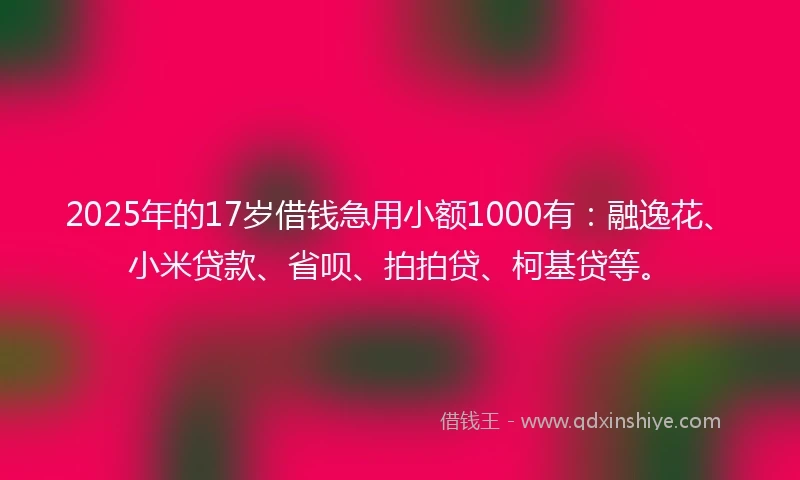2025年的17岁借钱急用小额1000有：融逸花、小米贷款、省呗、拍拍贷、柯基贷等。
