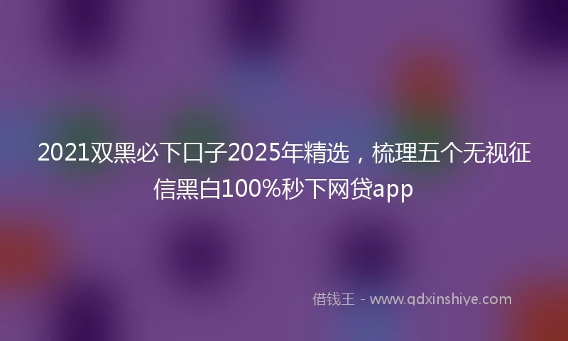 2021双黑必下口子2025年精选，梳理五个无视征信黑白100%秒下网贷app