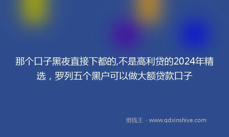 那个口子黑夜直接下都的,不是高利贷的2024年精选，罗列五个黑户可以做大额贷款口子
