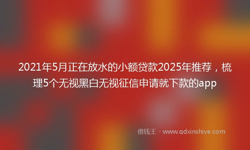 2021年5月正在放水的小额贷款2025年推荐，梳理5个无视黑白无视征信申请就下款的app