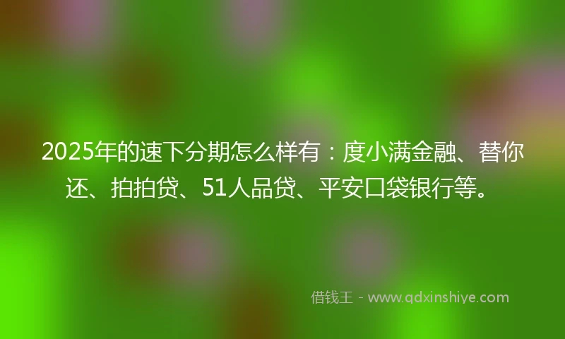 2025年的速下分期怎么样有：度小满金融、替你还、拍拍贷、51人品贷、平安口袋银行等。
