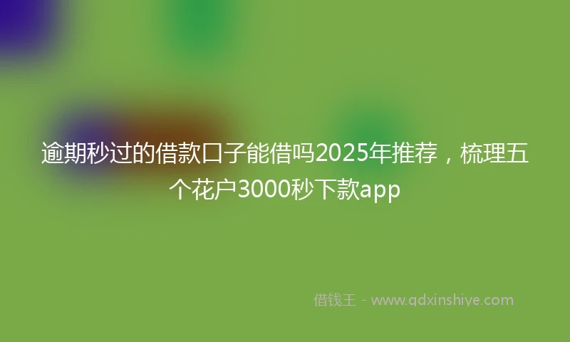 逾期秒过的借款口子能借吗2025年推荐，梳理五个花户3000秒下款app
