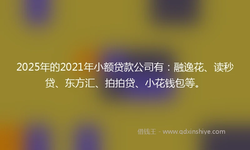 2025年的2021年小额贷款公司有：融逸花、读秒贷、东方汇、拍拍贷、小花钱包等。