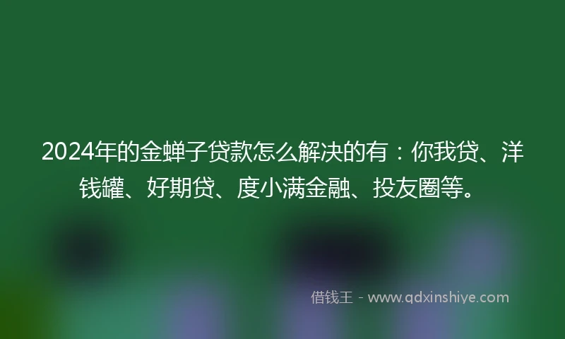 2024年的金蝉子贷款怎么解决的有：你我贷、洋钱罐、好期贷、度小满金融、投友圈等。