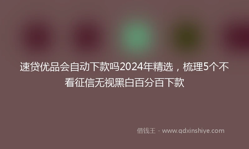 速贷优品会自动下款吗2024年精选，梳理5个不看征信无视黑白百分百下款