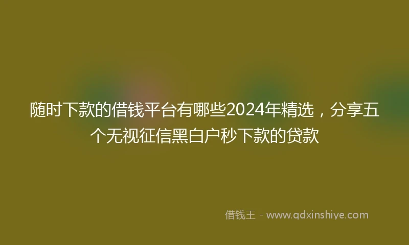 随时下款的借钱平台有哪些2024年精选，分享五个无视征信黑白户秒下款的贷款
