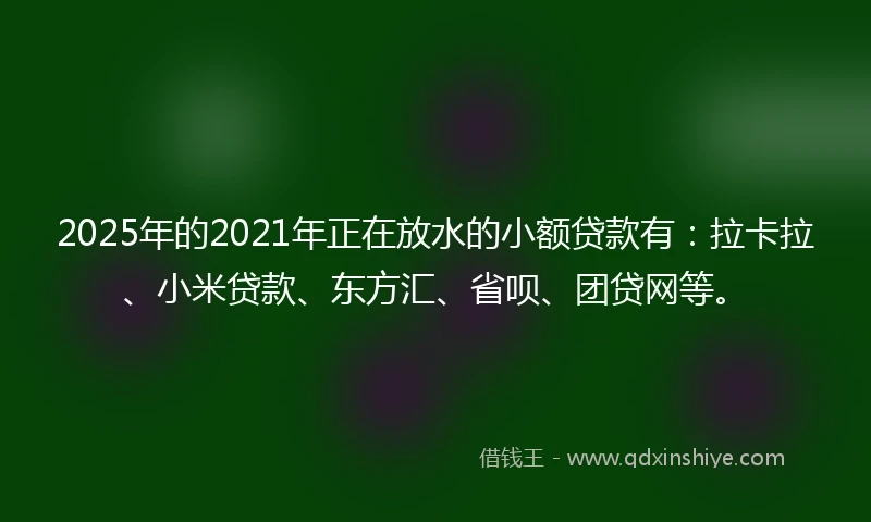 2025年的2021年正在放水的小额贷款有：拉卡拉、小米贷款、东方汇、省呗、团贷网等。