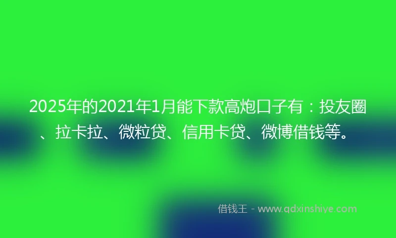2025年的2021年1月能下款高炮口子有：投友圈、拉卡拉、微粒贷、信用卡贷、微博借钱等。