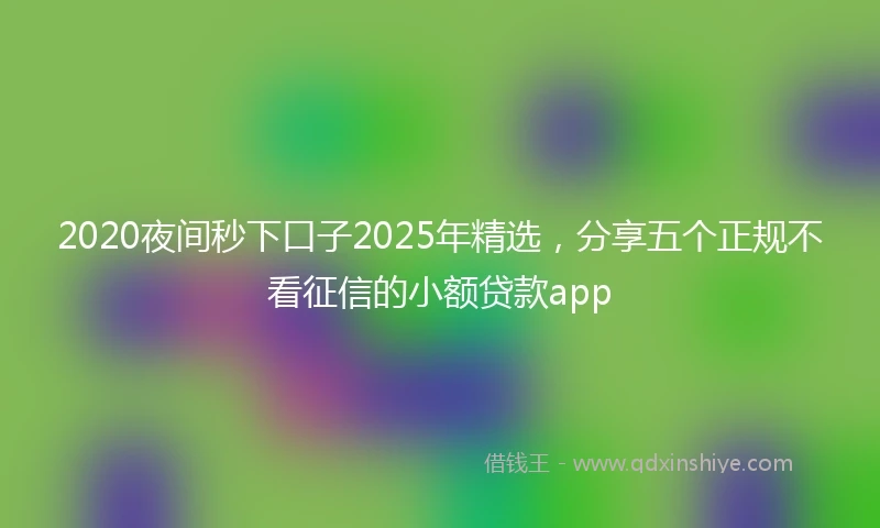 2020夜间秒下口子2025年精选，分享五个正规不看征信的小额贷款app